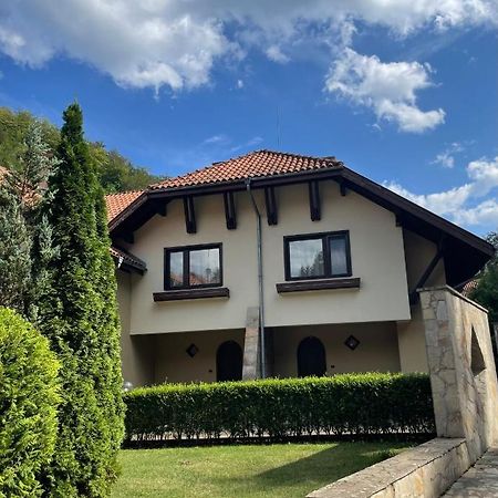Вила 11 - Семейна Почивка В Сърцето На Балкана Ribarica Exterior photo