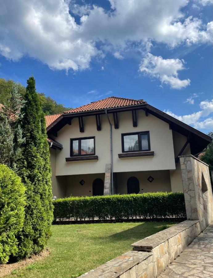 Вила 11 - Семейна Почивка В Сърцето На Балкана Ribarica Exterior photo