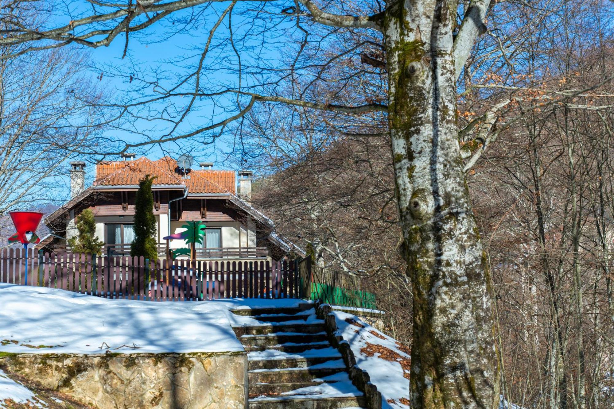 Вила 11 - Семейна Почивка В Сърцето На Балкана Ribarica Exterior photo
